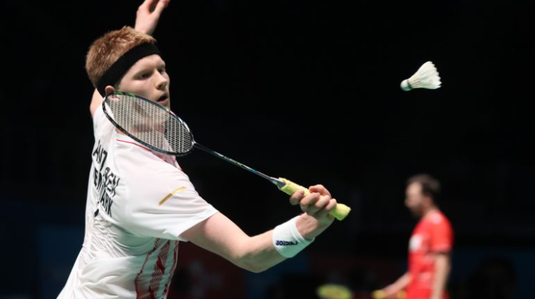 搭配戴维斯 搭配戴维斯